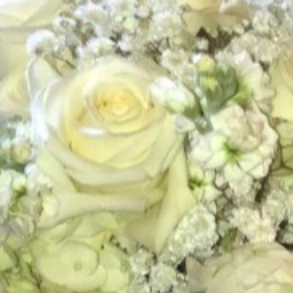 Meet your Posher, Rylee - Picture 1 of 1